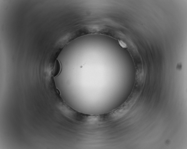 X0000102850574200808251205