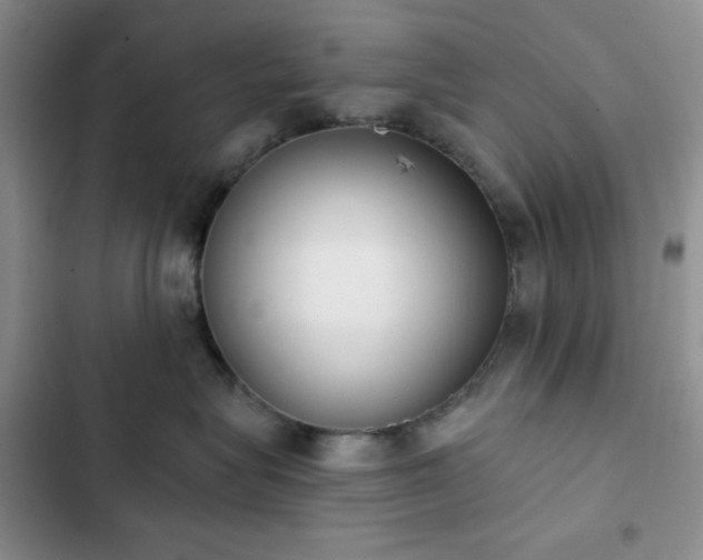 X0000102850575200808251205