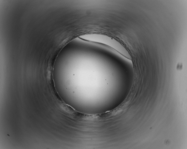 X0000102850576200808251205