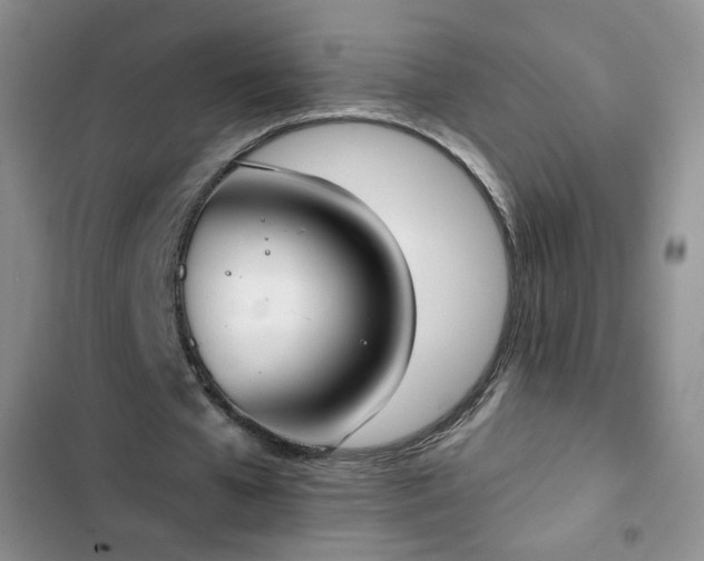 X0000102850577200808251204