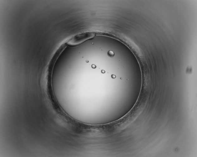 X0000102850580200808251204