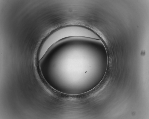 X0000102850581200808251204