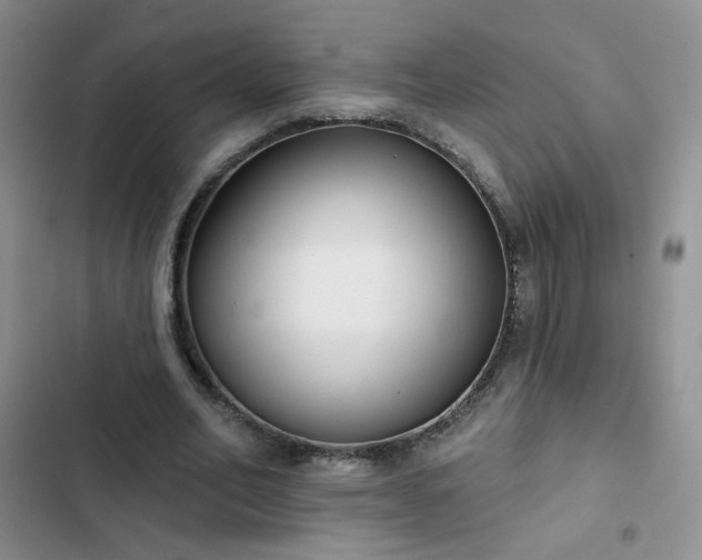 X0000102850582200808251204
