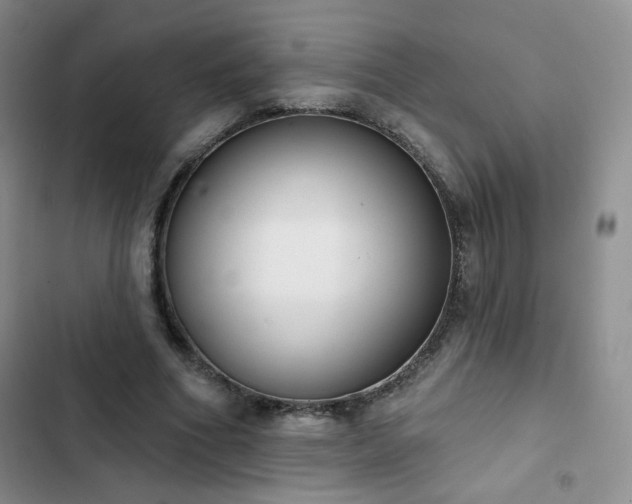 X0000102850586200808251204