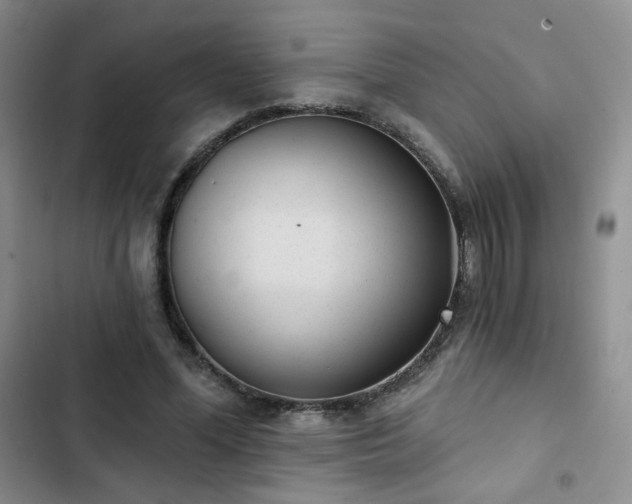 X0000102850588200808251204