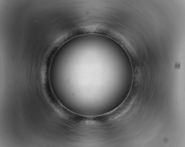 X0000102850590200808251204