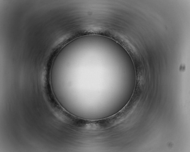 X0000102850591200808251204