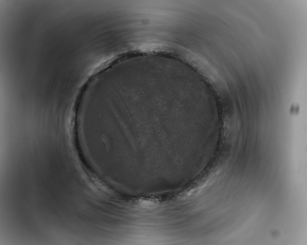 X0000102850592200808251204