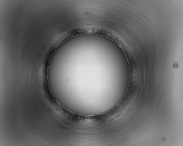 X0000102850594200808251204