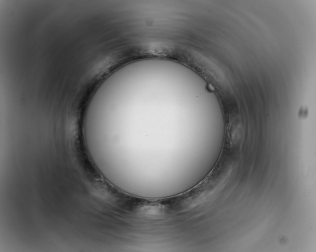 X0000102850595200808251204
