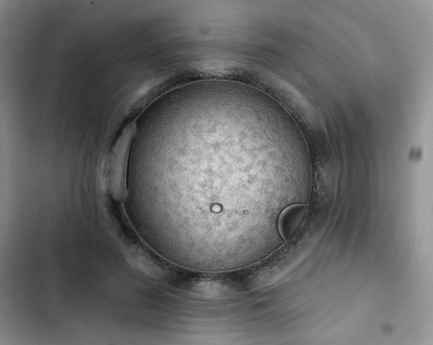 X0000102850596200808251204