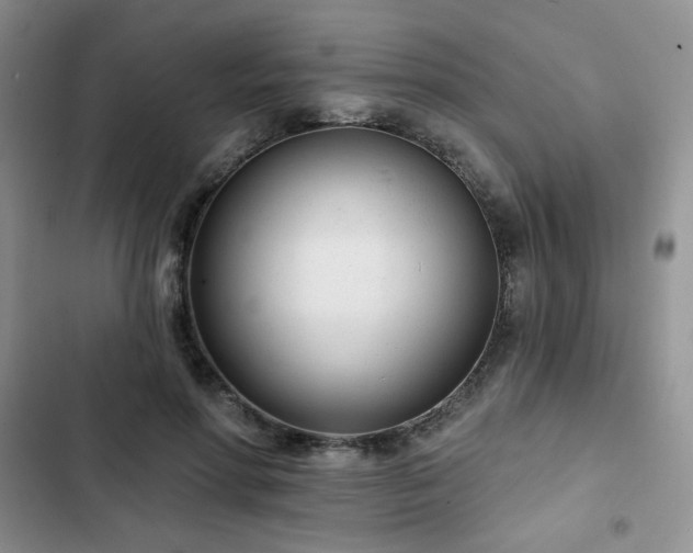 X0000102850598200808251204