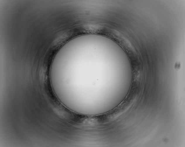 X0000102850599200808251204