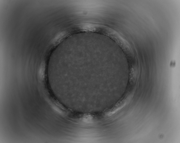 X0000102850600200808251204