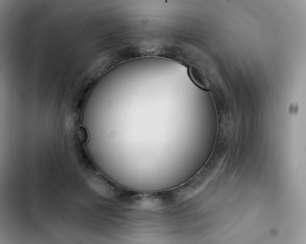 X0000102850601200808251204