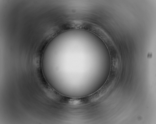 X0000102850602200808251204