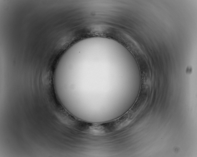 X0000102850603200808251204