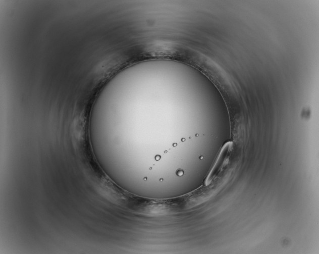 X0000102850604200808251204