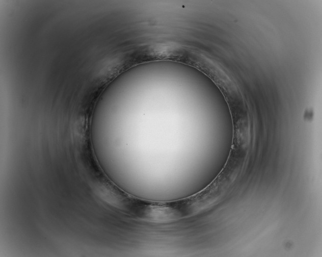 X0000102850605200808251204