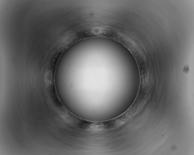 X0000102850606200808251204