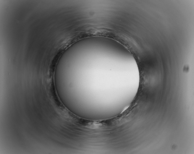 X0000102850607200808251204