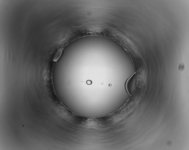 X0000102850608200808251204