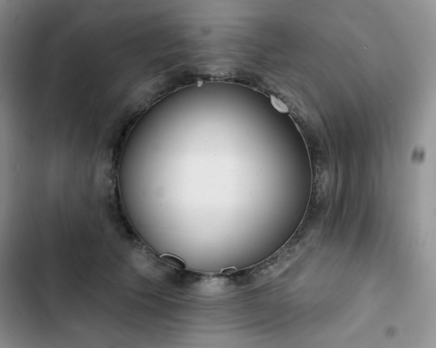 X0000102850609200808251204