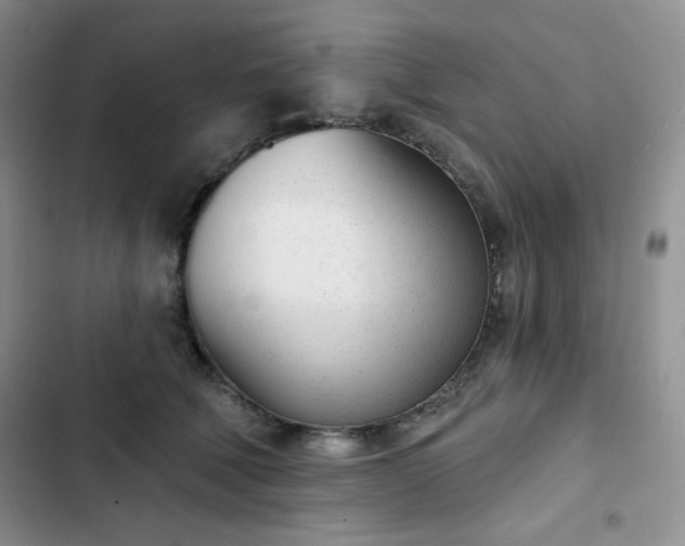 X0000102850610200808251204