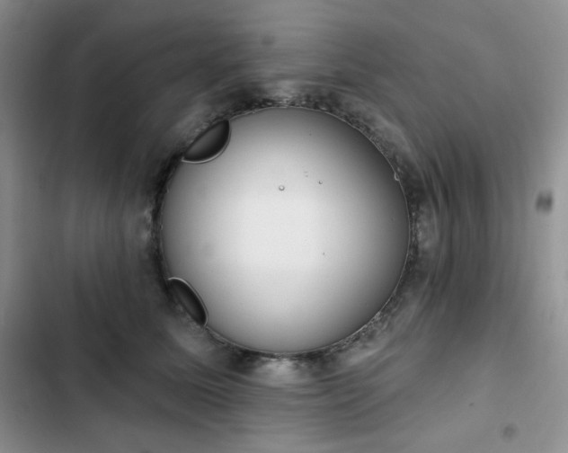 X0000102850611200808251204
