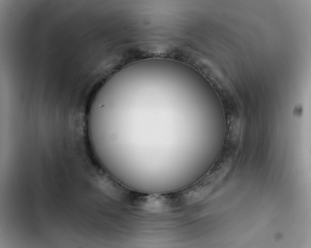 X0000102850612200808251204