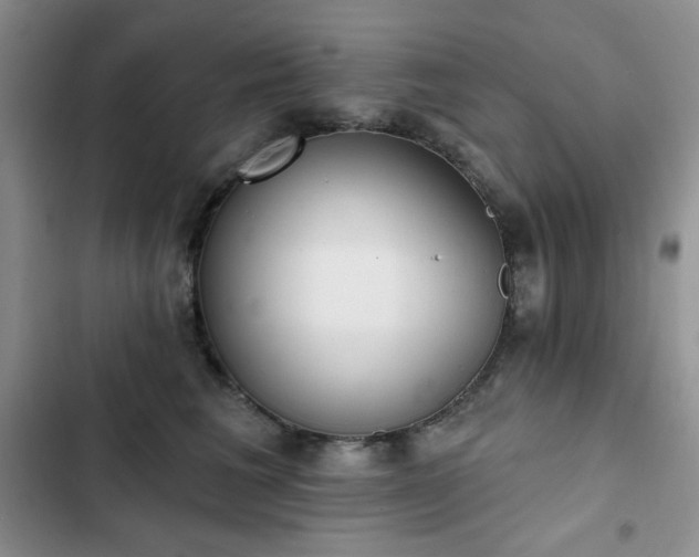 X0000102850613200808251204