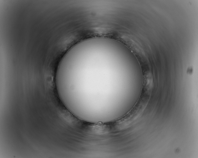 X0000102850615200808251204