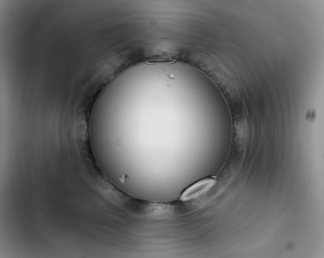 X0000102850617200808251204
