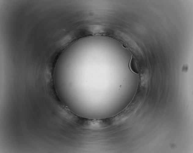 X0000102850618200808251204