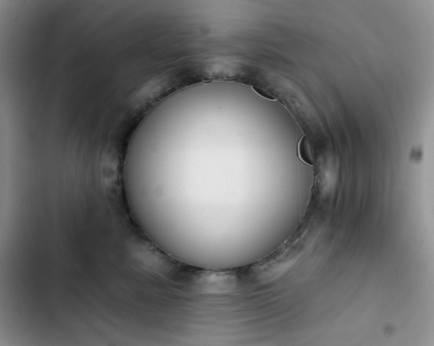 X0000102850619200808251204
