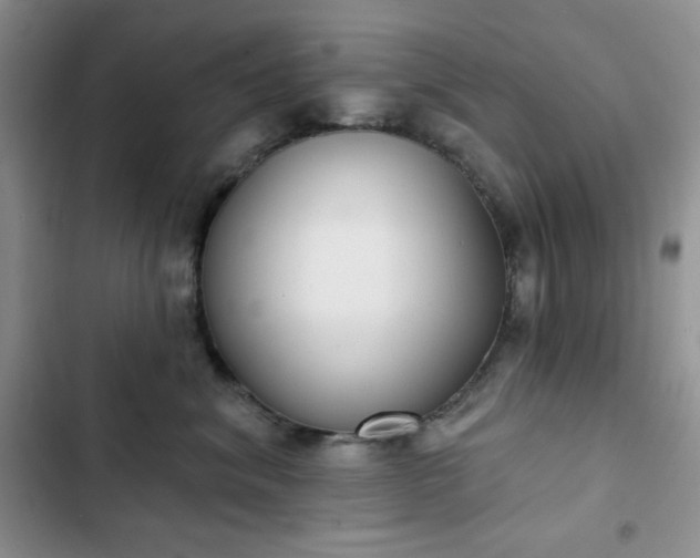 X0000102850620200808251204