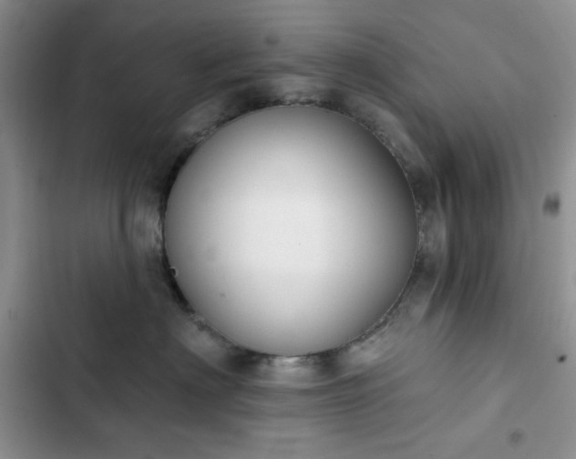 X0000102850622200808251204