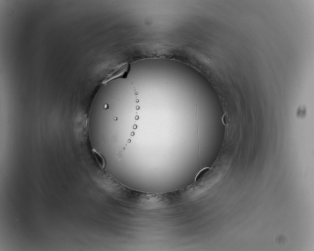 X0000102850624200808251204