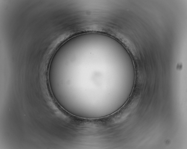 X0000102850625200808251203