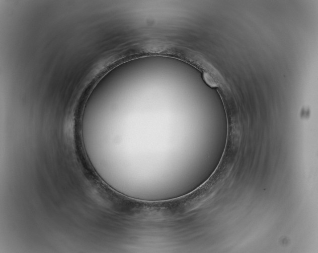 X0000102850626200808251203