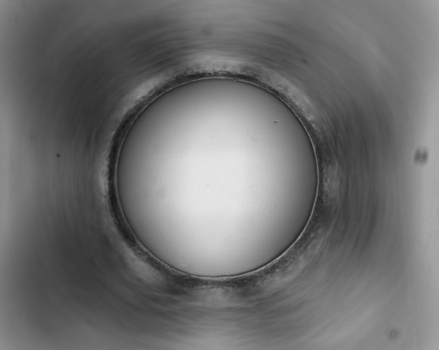 X0000102850629200808251203