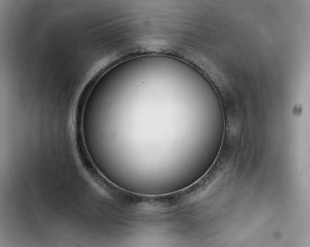 X0000102850630200808251203