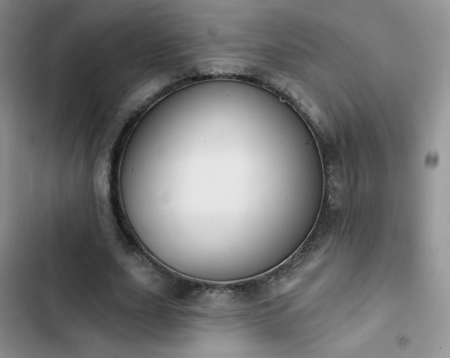 X0000102850631200808251203