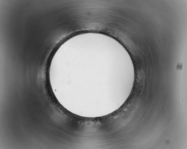 X0000102850632200808251203