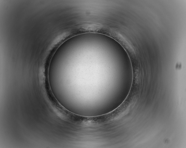 X0000102850634200808251203