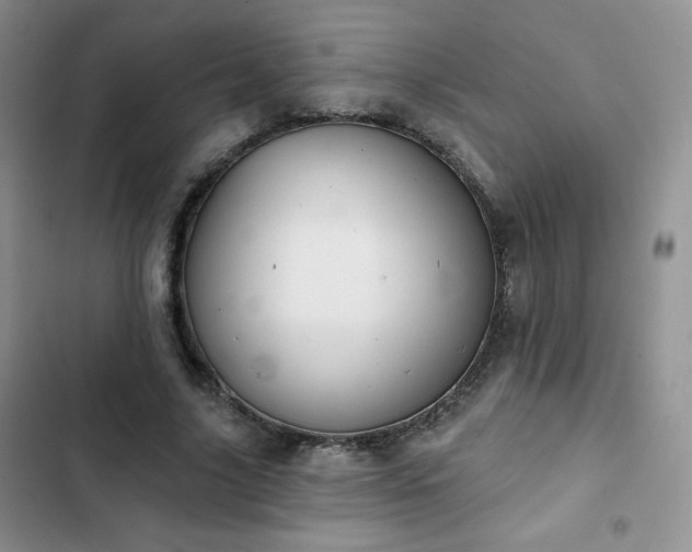 X0000102850635200808251203