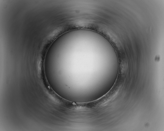 X0000102850637200808251203