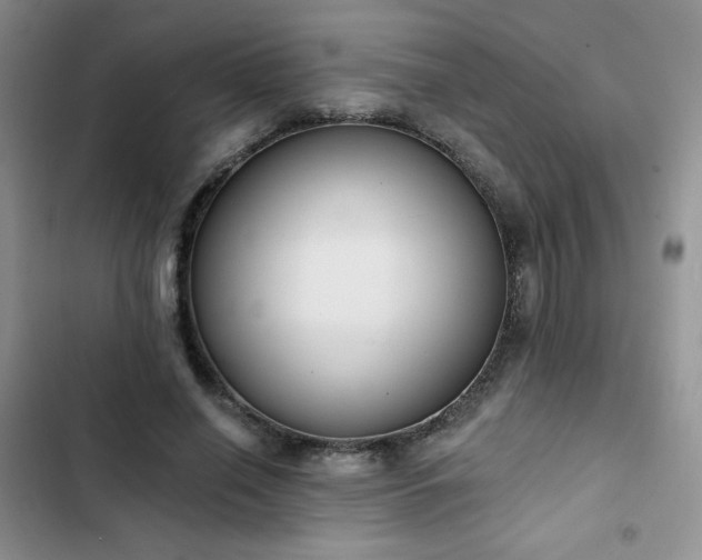 X0000102850638200808251203