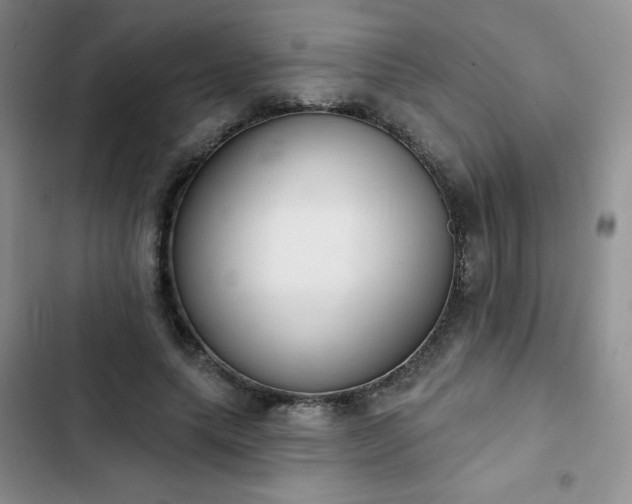 X0000102850639200808251203