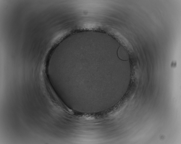 X0000102850640200808251203